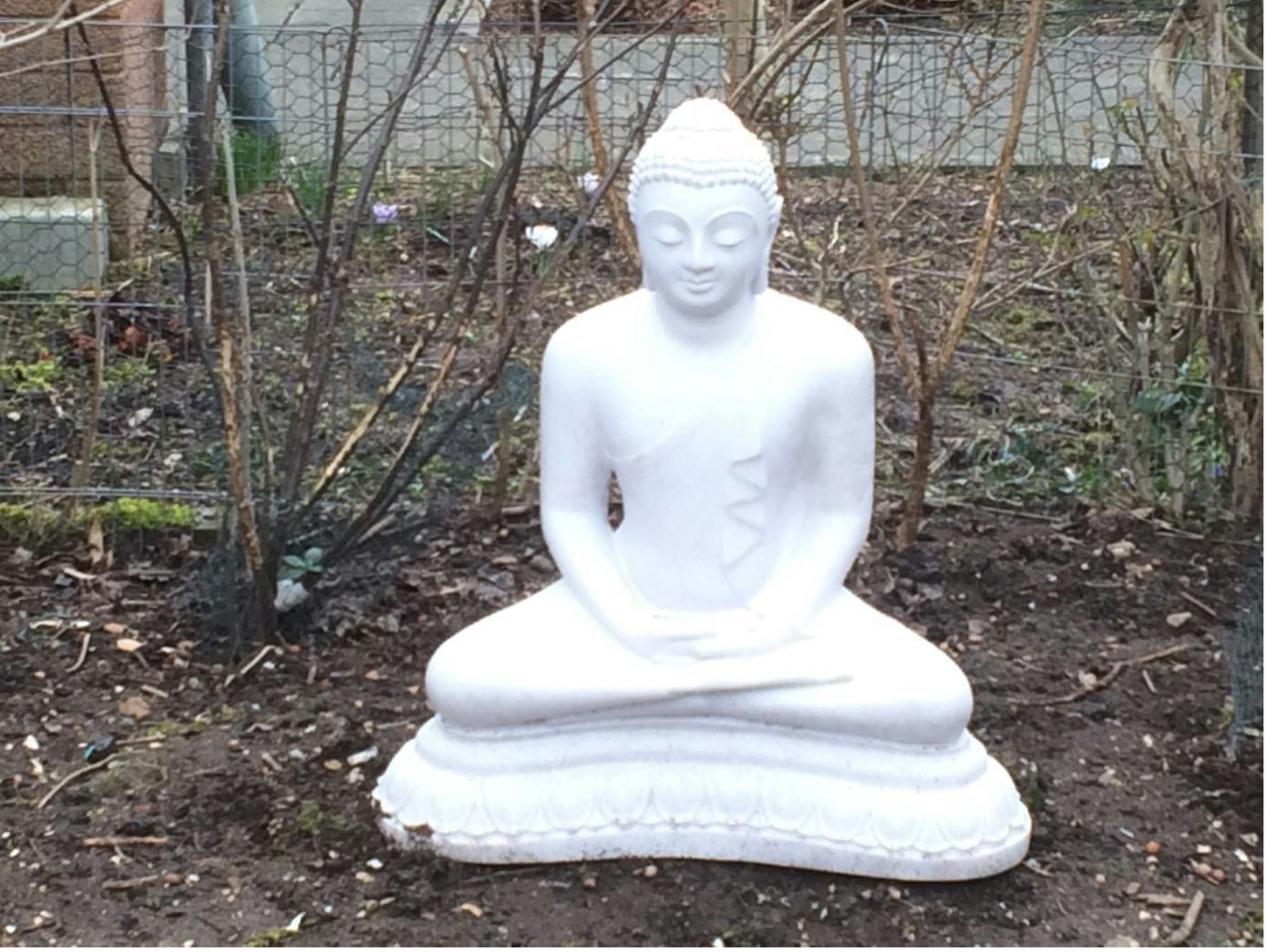 Ein weißer Buddha meditiert in einem kargen Garten.