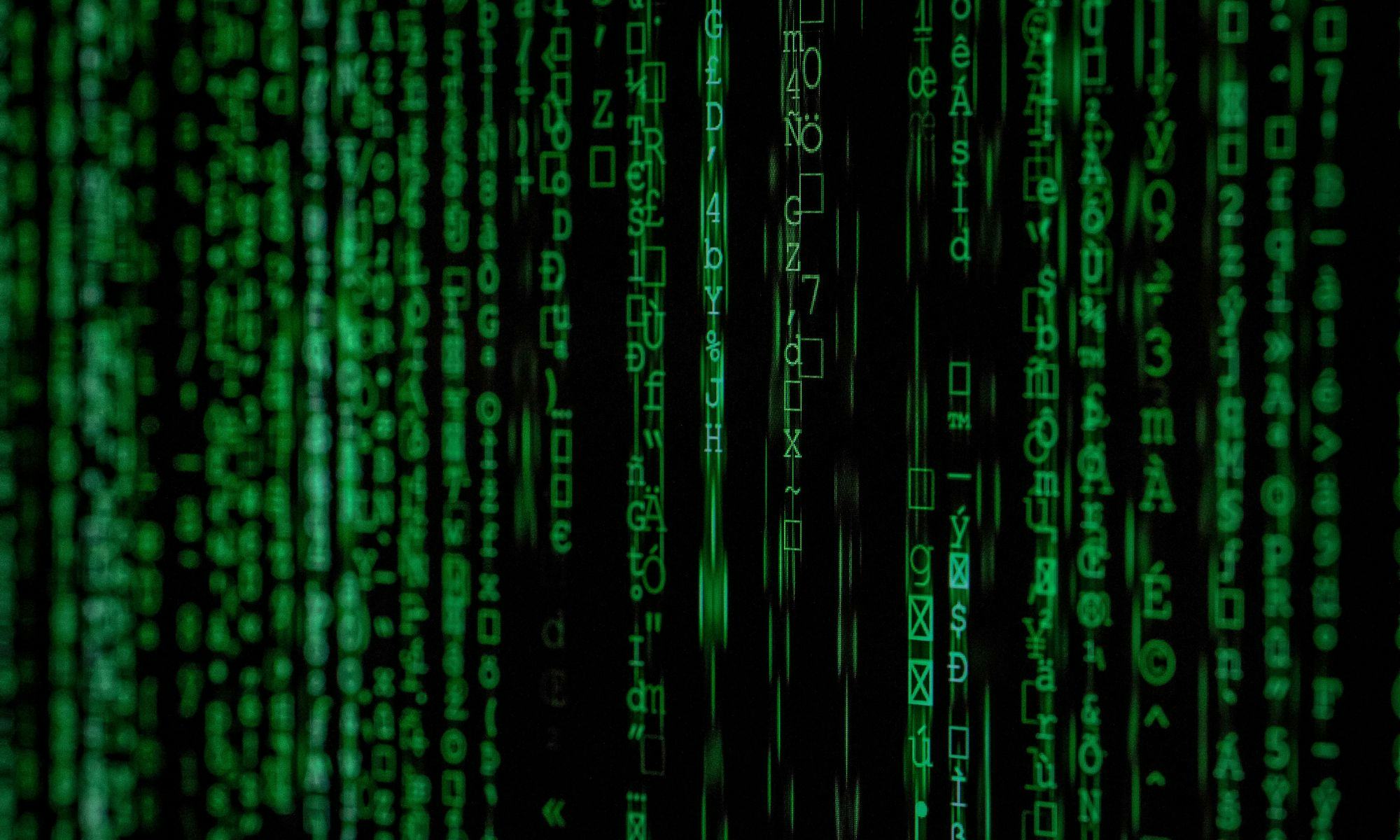 Expositionen in der Praxis: Hinein in die Matrix!